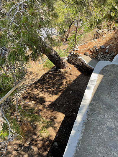 The garden of Carolina's Amorgos house in Langatha